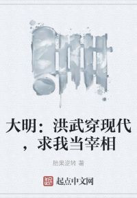 大明：洪武穿现代，求我当宰相