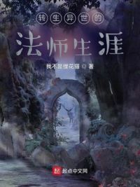 转生异世的法师生涯