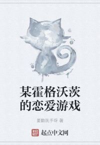 某霍格沃茨的恋爱游戏