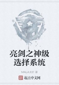 亮剑之神级选择系统