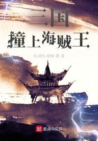 三国撞上海贼王