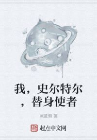 我，史尔特尔，替身使者