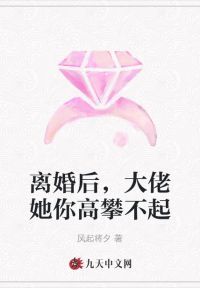 离婚后，大佬她你高攀不起