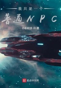 我只是一个普通NPC