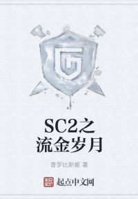 SC2之流金岁月