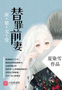 新婚无爱，替罪前妻